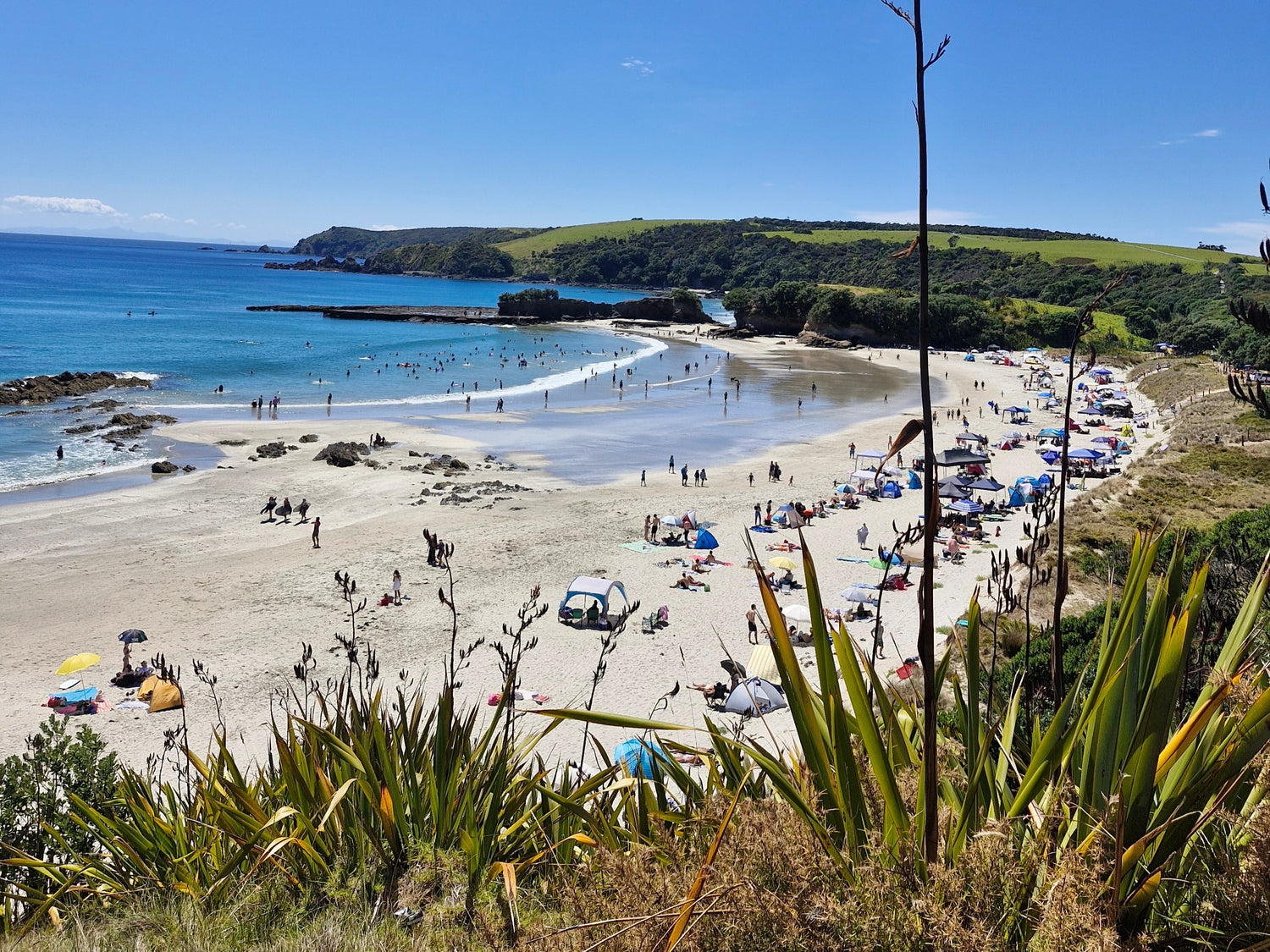 Community and Membership